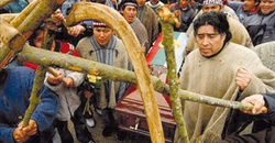 Mapuche, la lucha de la tierra