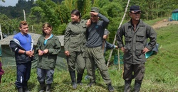 Colombia. Las FARC desde adentro