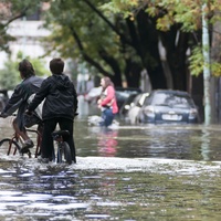 Inundación en La Plata. Huellas de la desidia